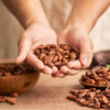 cocoa beans